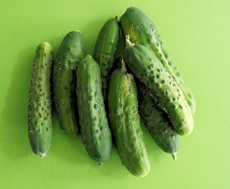 Cucumbers With Cumin Tahini Recipe Cuisine Fiend